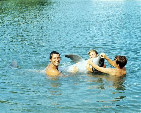 Flipper 1964