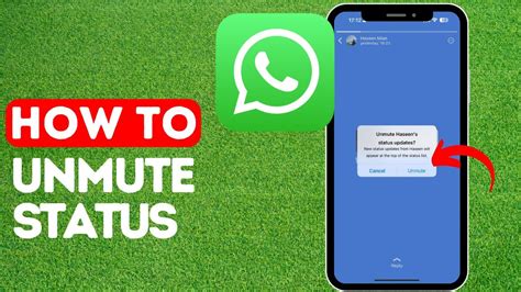 How To Unmute Mute Whatsapp Status In Iphone Easy Guide Youtube