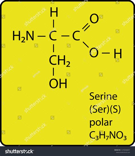 Serine Structure