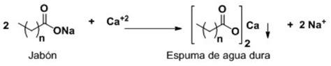 Acero Legibilidad Palpitar Composicion Quimica De Los Detergentes