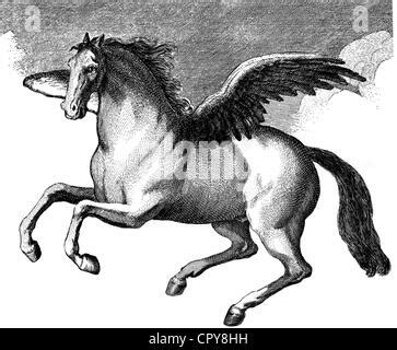 Pegaso Il Cavallo Alato Della Mitologia Greca Protagonista In Tante