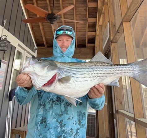 Mckinley Rowlands Big Striper Carolina Sportsman