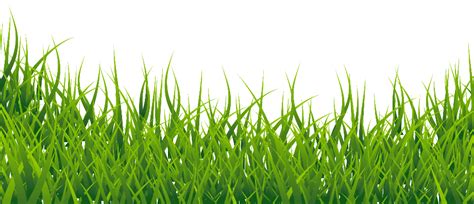 Download High Quality grass transparent vector Transparent PNG Images - Art Prim clip arts 2019