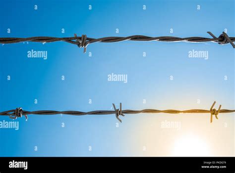 Restraining Hi Res Stock Photography And Images Alamy