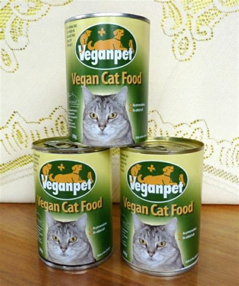 Vegan cat food. | Vegan cat food, Vegan cat, Wellness cat food