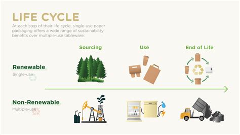 Updated Results Single Use Vs Multiple Use Paper Recycling Magazine