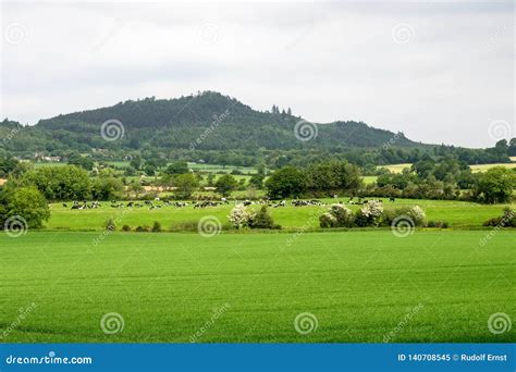 Typisch Iers Landschap In De Bergen Van Wicklow In Ierland Stock