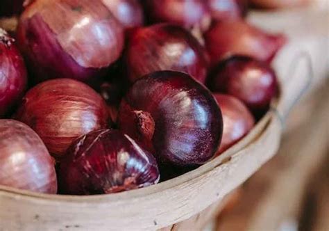 Bangladesh Acts To Import Onions Amid India S Export Ban