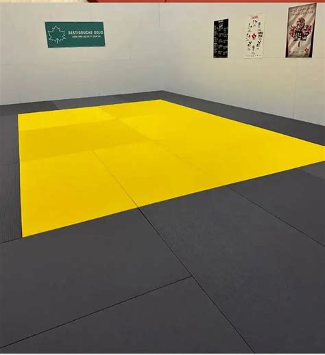 Ijf Standard Mma Judo Tatami Mat 200x100x4cm Or 5cm Brazilian Jiu Jitsu