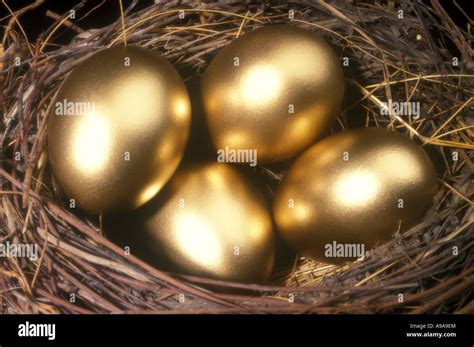 GOLDEN EGGS IN NEST Stock Photo Alamy