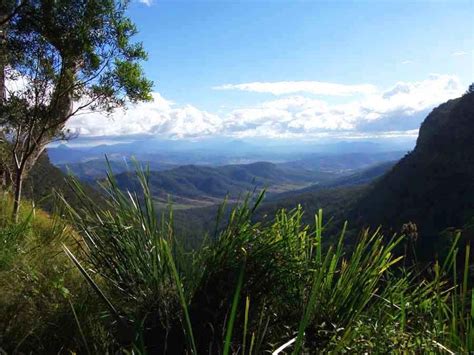 Lamington National Park | Global Grapevine