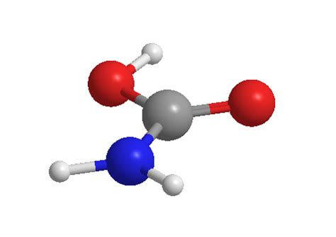 23+ Hybrid Orbital Diagram - LeonardKhajusta