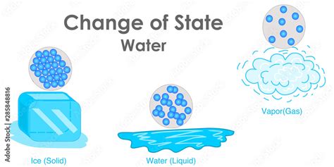 how to do a water change