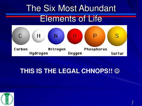 Ppt Introduction To Bioorganic Chemistry Powerpoint Presentation