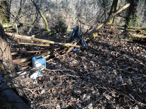 Kreis Waldshut Immer mehr Müll im Wald Das ist gefährlich und kann