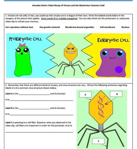 Amoeba Sisters Cellular Respiration Worksheet - Printable Word Searches