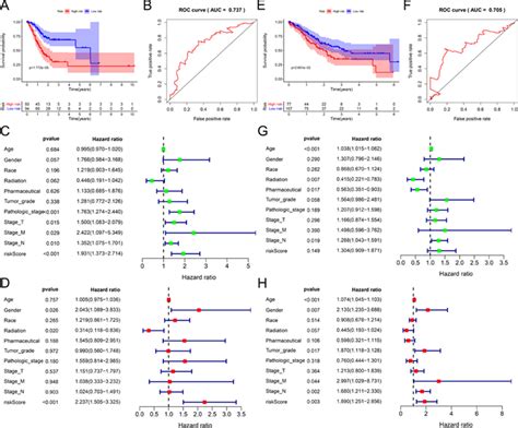 Construction And Verification Of Prognostic Signatures In Training And