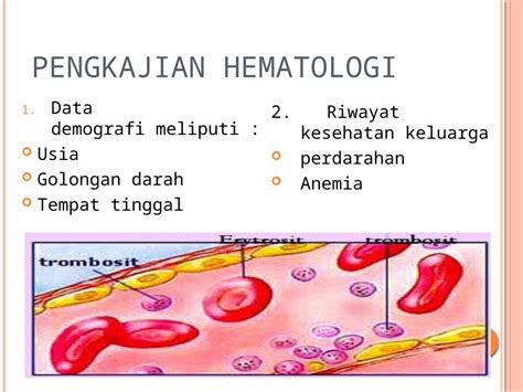 Pptx Pengkajian Sistem Hematologi Dan Imunologi Dokumen Tips