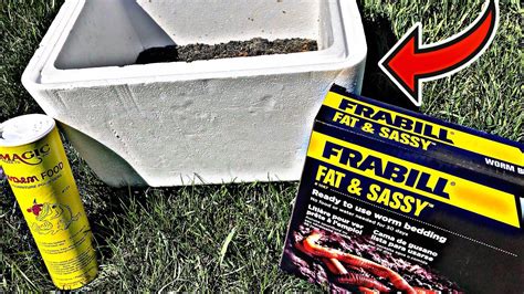 How To Start A Worm Farm Diy