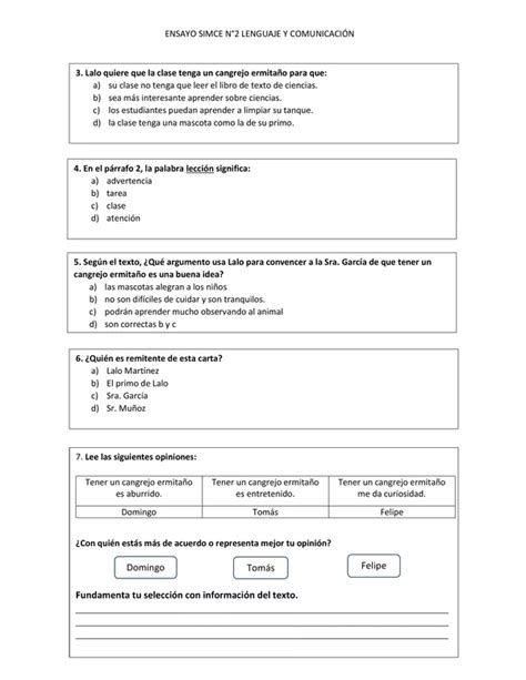 Ensayo Simce N Lenguaje Y Comunicaci N Profe Social