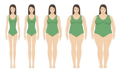 Body Mass Index Vector Illustration From Underweight To Extremly Obese