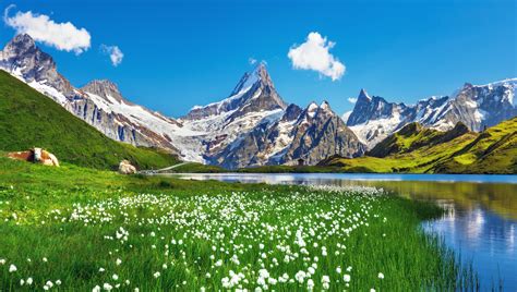 Beautiful Swiss Alps And Stunning Places To Stray