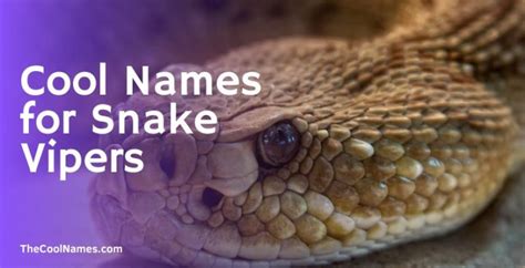 Badass Pet Snake Names List And Ideas For You