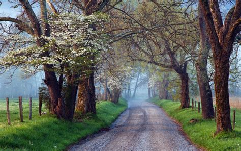 Great Smoky Mountains National Park Tennessee Bing 4K Preview ...