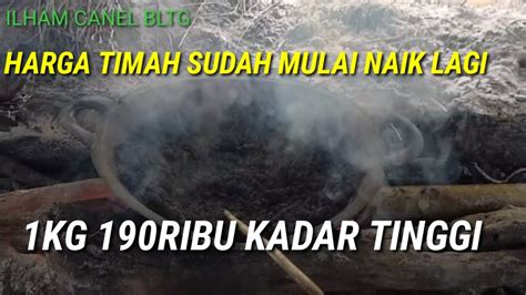 HARGA TIMAH SUDAH MULAI NAIK SEKARANG HARGA TIMAH KADAR TINGGI 1KG