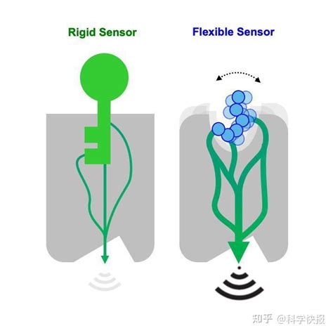 新型生物传感器技术可精确控制细胞过程，可用于癌症等广泛的治疗应用 知乎