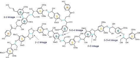 Figure 1 From On The Oxidative Valorization Of Lignin To HighValue