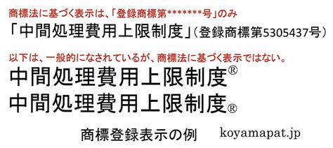 商標登録表示とその例 小山特許事務所