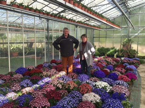 Un horticulteur de La Ferté Macé propose une livraison gratuite pour