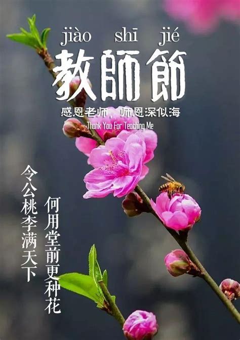 赞美老师的诗句（夸奖老师的古诗和名言） 我爱育娃