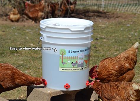 5 Gallon Chicken Waterer 6 Horizontal Side Mount Poultry Nipples