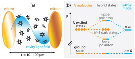 Strong Light Matter Interactions For New Chemistry The Weichman Lab