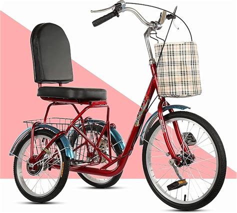 Tricycle Adulte à 3 Roues Vélo Tricycle Sécurisé pour Vélo Adulte à