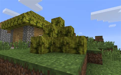 画像をダウンロード hay bale minecraft png 154953-Hay bale minecraft png - Imagejoshezf