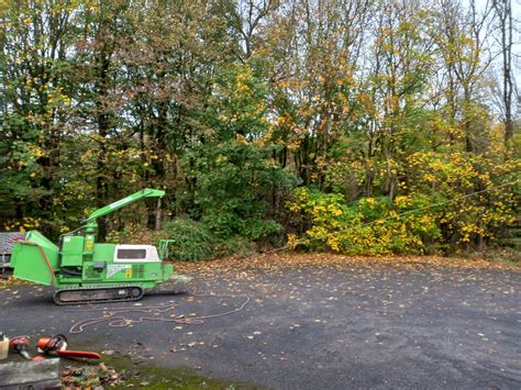 Ash dieback - tree felling in Chatburn • CMS Tree Services