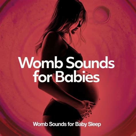 Womb Sounds For Babies Album By Womb Sounds For Baby Sleep Spotify