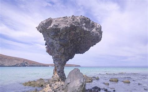 Proyecta Zofemat Reparar Hongo De Balandra El Sudcaliforniano