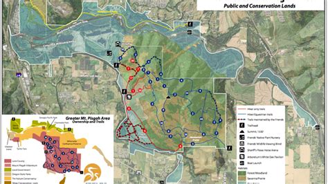 Trails at Mount Pisgah re-open to public after closure due to fire ...