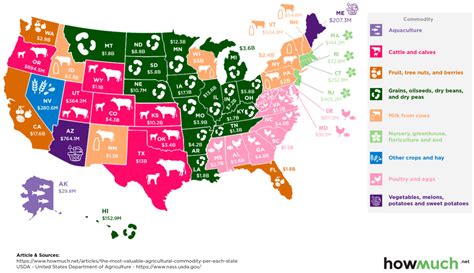 Infographic The Most Valuable Agricultural Commodity In Each State