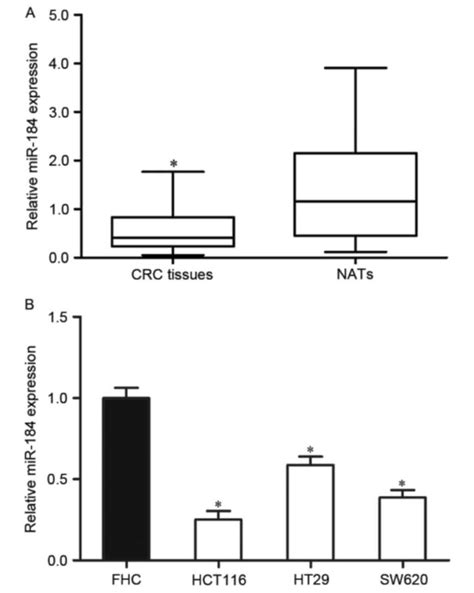 Microrna Inhibits Cell Proliferation And Metastasis In Human