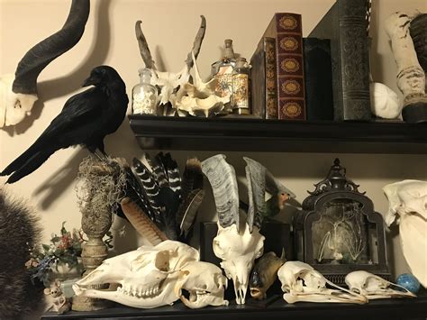Dark Home Decor: Oddities Collection Wall