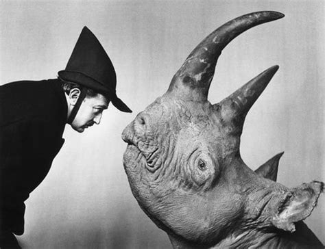 salvador dalí rhinoceros phillippe halsman 1952 Salvador dali