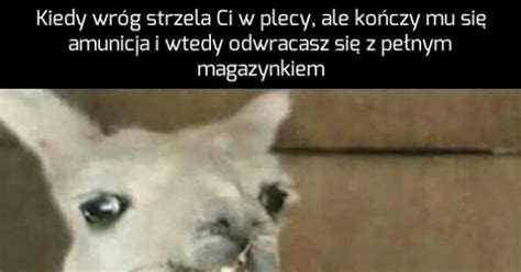 I adiós zarazem Jeja pl