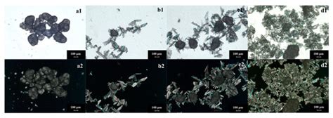 Understanding The Reaction Crystallization Process Of Glycidyl Trimethyl Ammonium Chloride