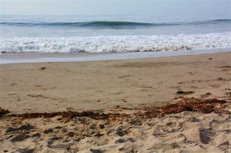 Manresa State Beach in Watsonville, CA - California Beaches