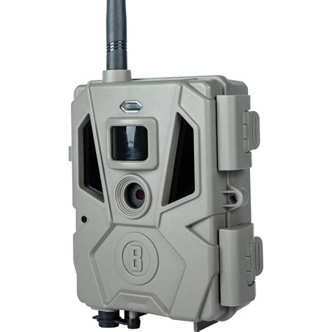 Best Cellular Trail Cameras List Emmy Norrie